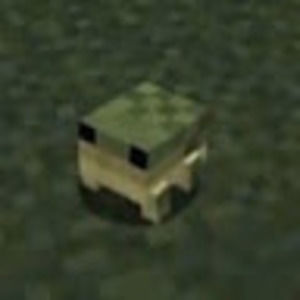 Meet your Posher, Mosh